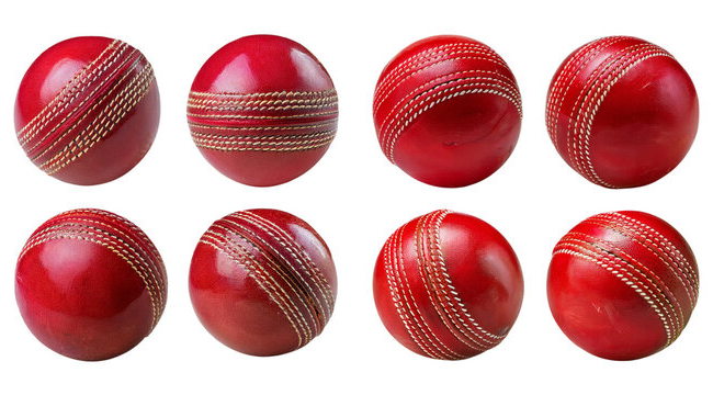 Cricket Ball Leather