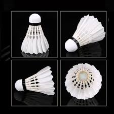 Badminton Shuttlecock Set